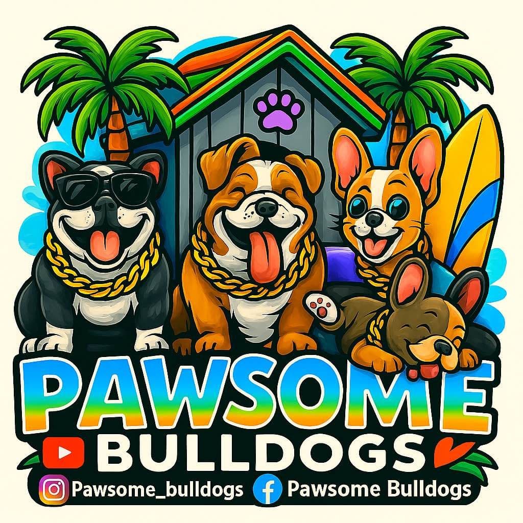 Quality AKC English Bulldogs Raised with Love | Pawsome Bulldogs breeder image 1