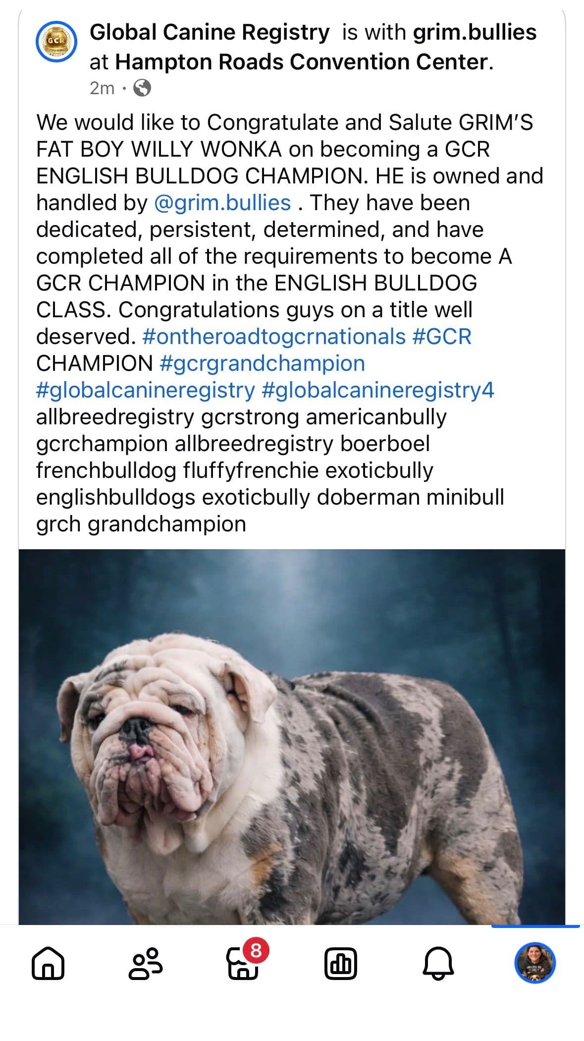 Bulldog Puppies breeder image 5