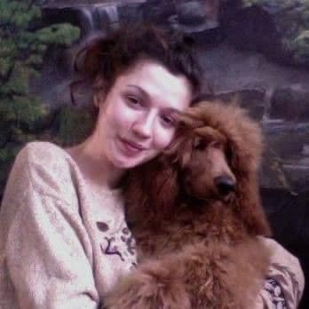 Standard Poodle Puppies breeder image 12