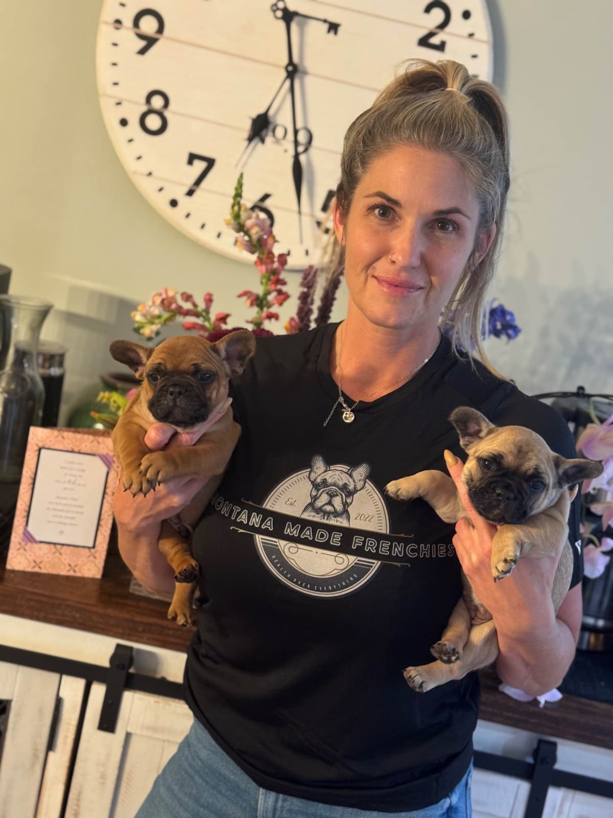 French Bulldog Puppies from OFA'd parents breeder image 2