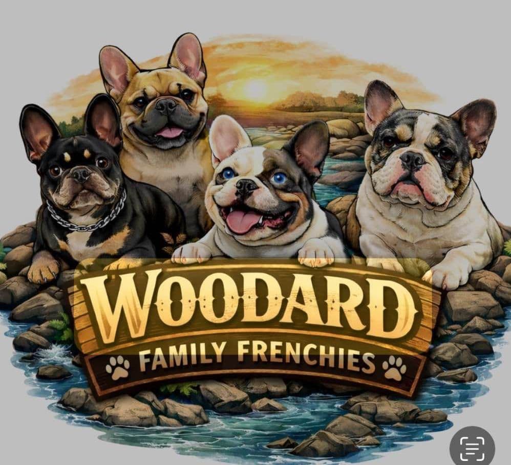 French Bulldog Puppies breeder image 5