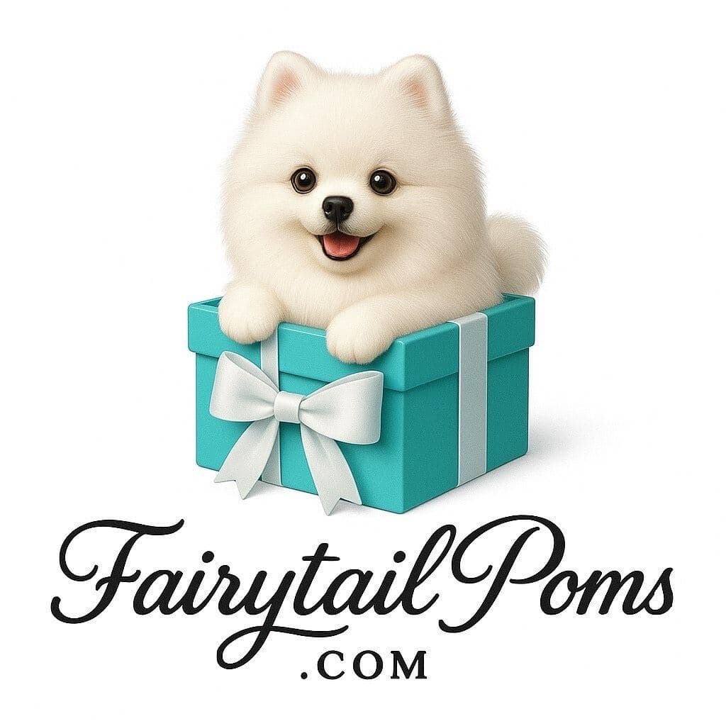 Pomeranian puppies (FairytailPoms.com) breeder image 1