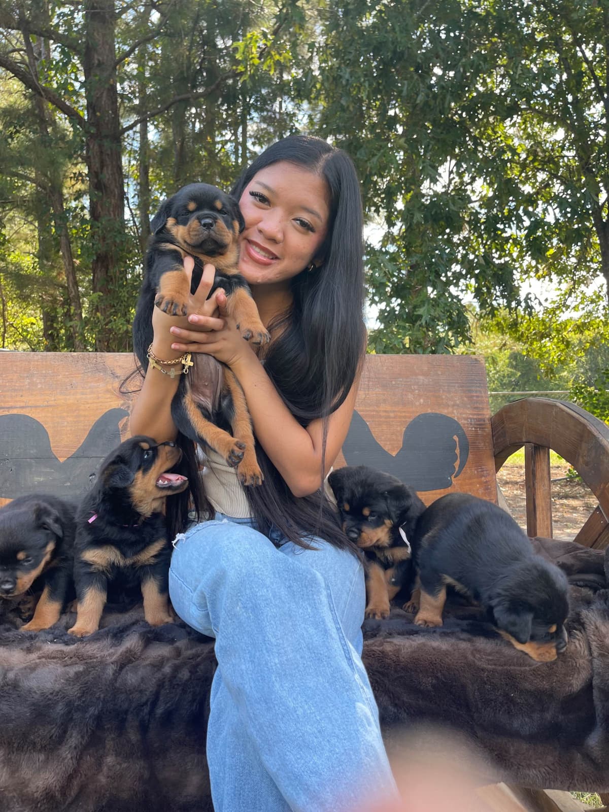 Rottweiler Puppies breeder image 7