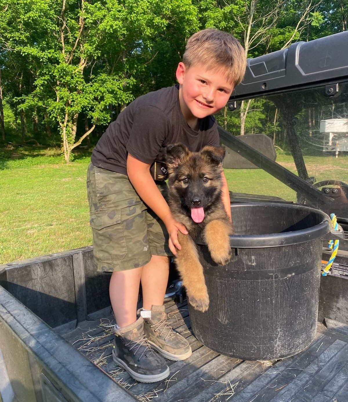 Long Coat Sable German Shepherd Dog Puppies | Family Raised on a Farm breeder image 16