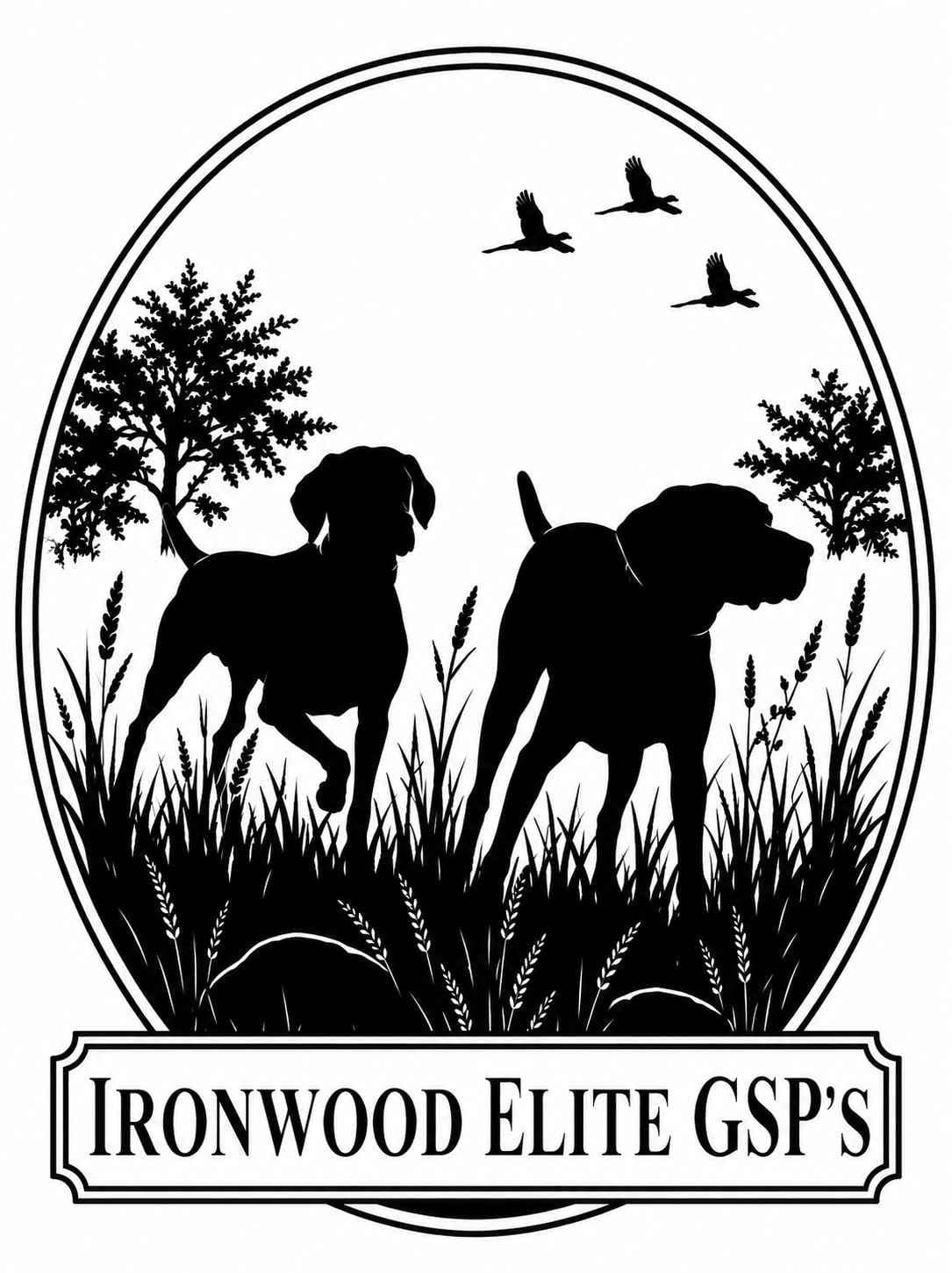 German Shorthaired Pointer Puppies breeder image 3