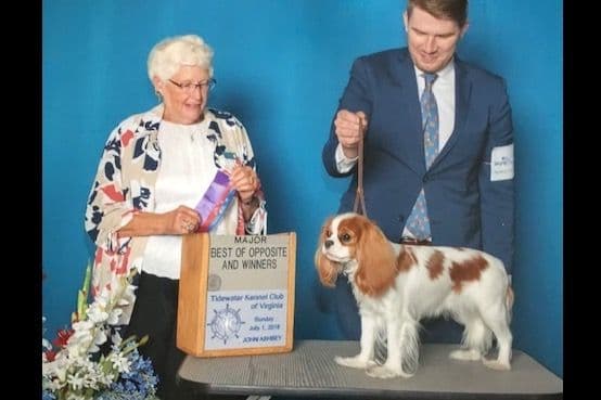 Cavalier King Charles Spaniel Puppies breeder image 5