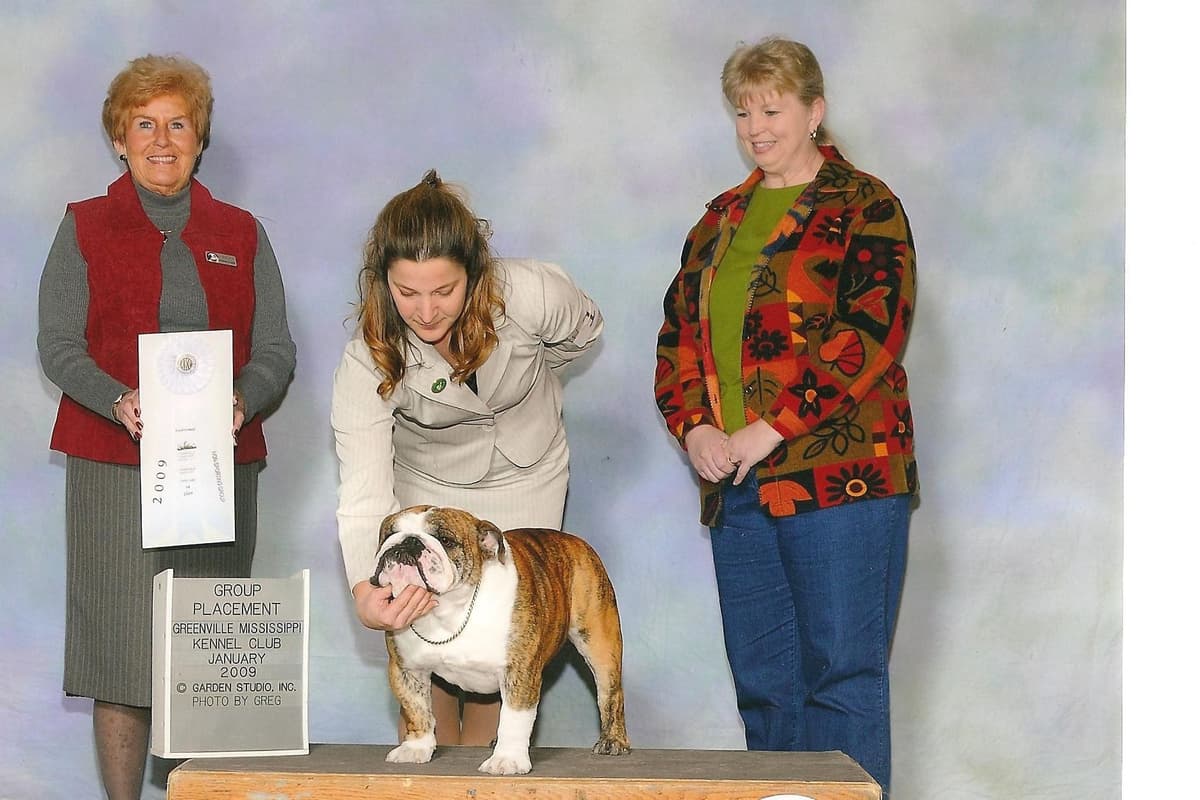 French Bulldog Puppies breeder image 9