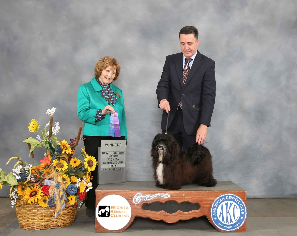Havanese Puppies breeder image 13
