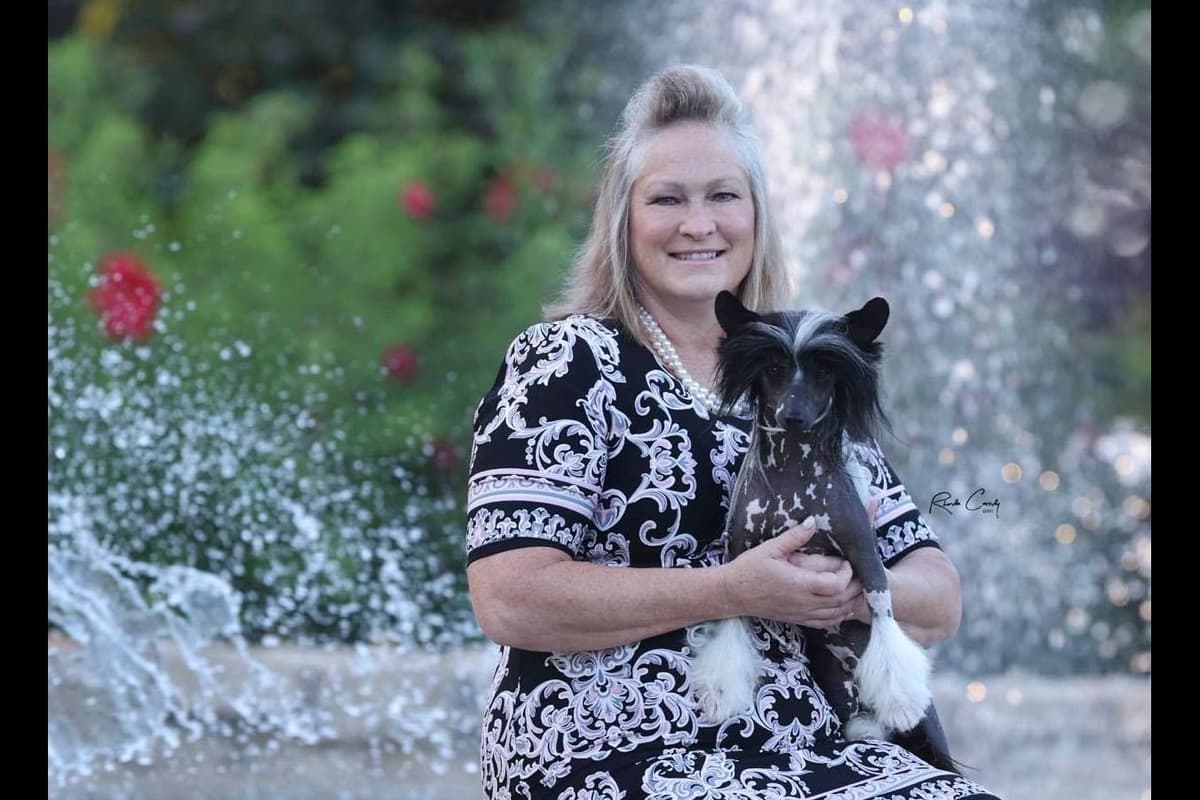 Chinese Crested Puppies breeder image 33