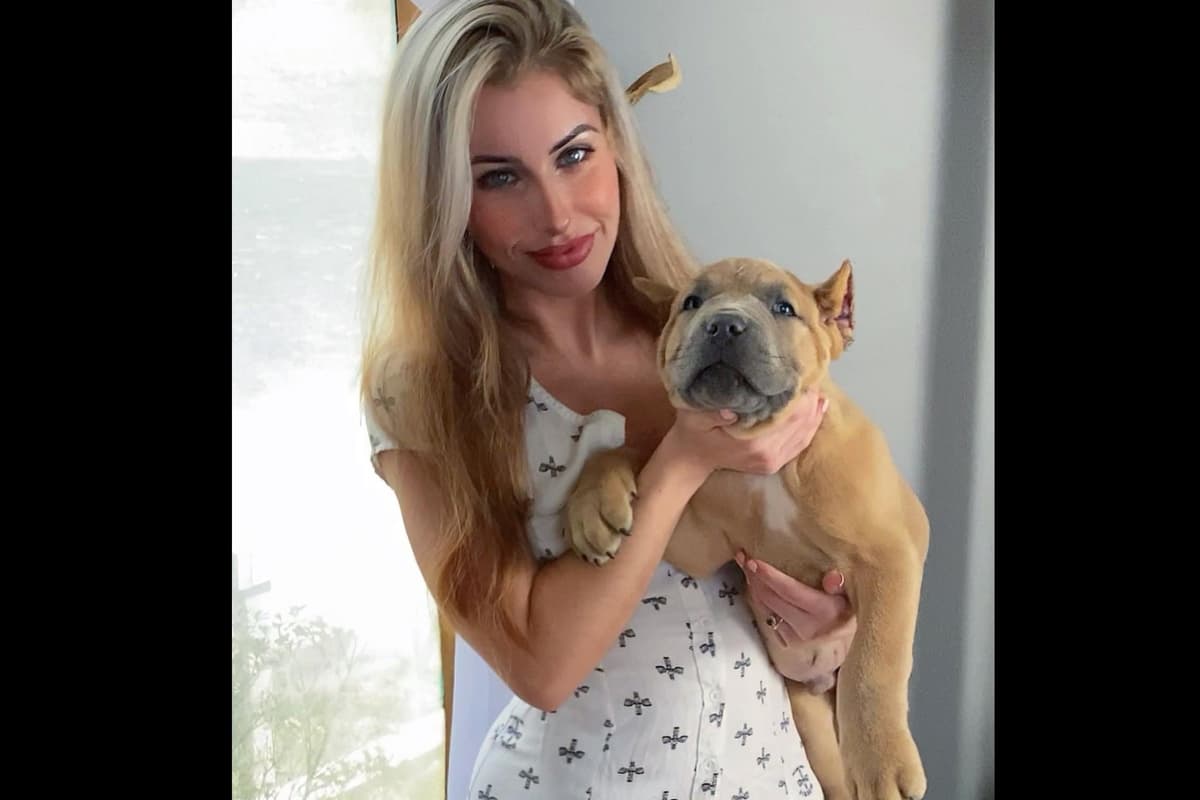 Cane Corso Puppies breeder image 12