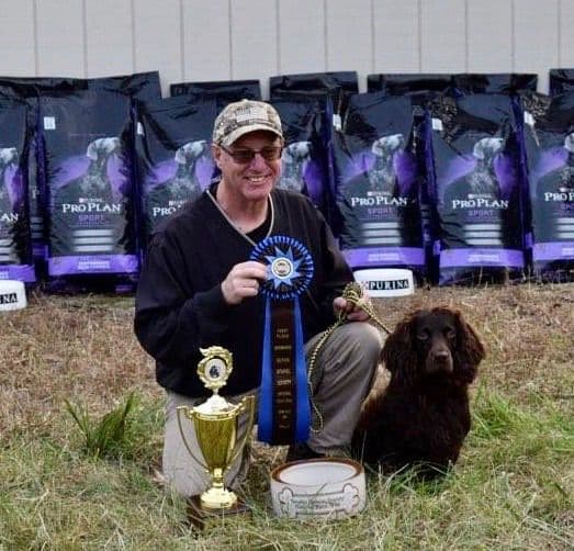 Boykin Spaniel Puppies breeder image 8
