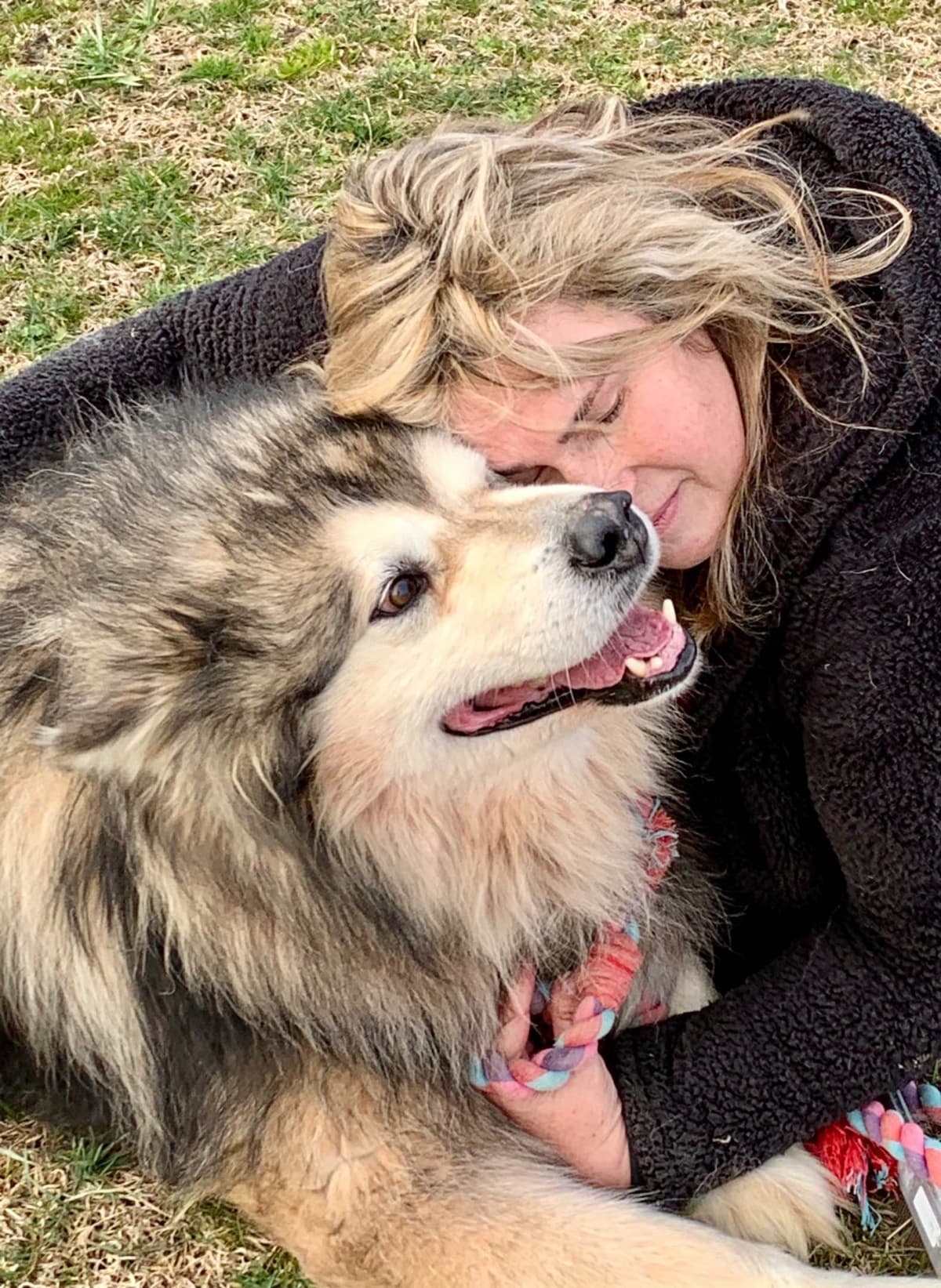 Alaskan Malamute Puppies breeder image 73