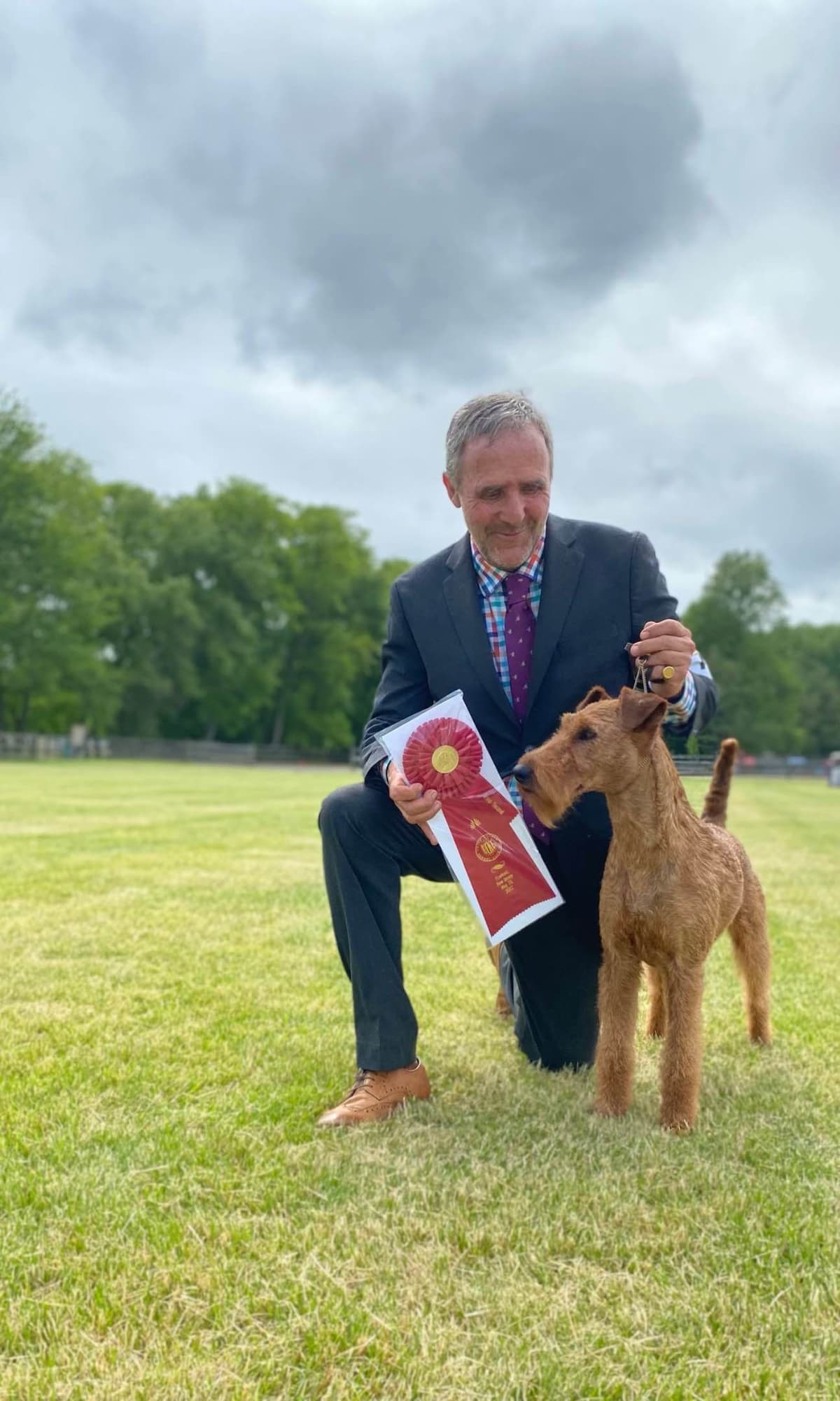 Irish Terrier Puppies breeder image 2