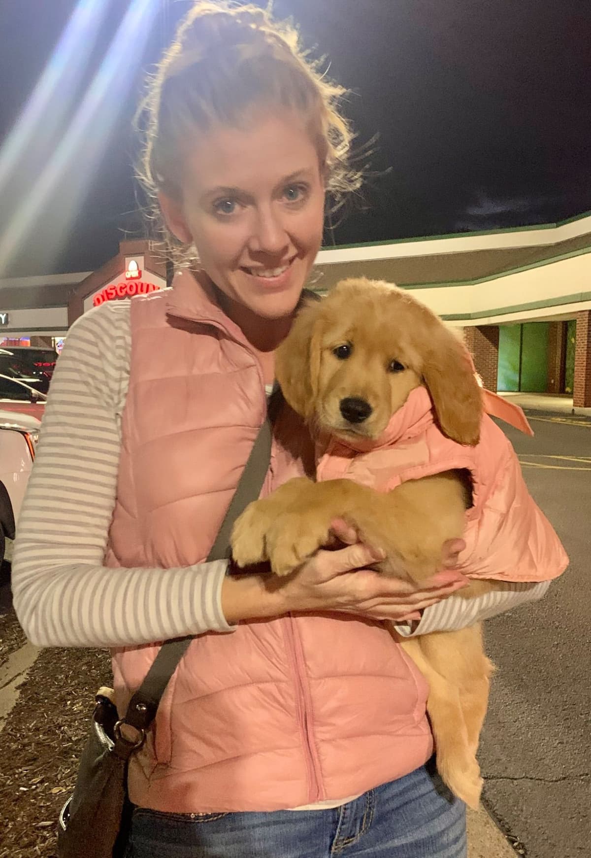 Dark Golden Retriever Puppies - Ready Aug 1st! breeder image 25