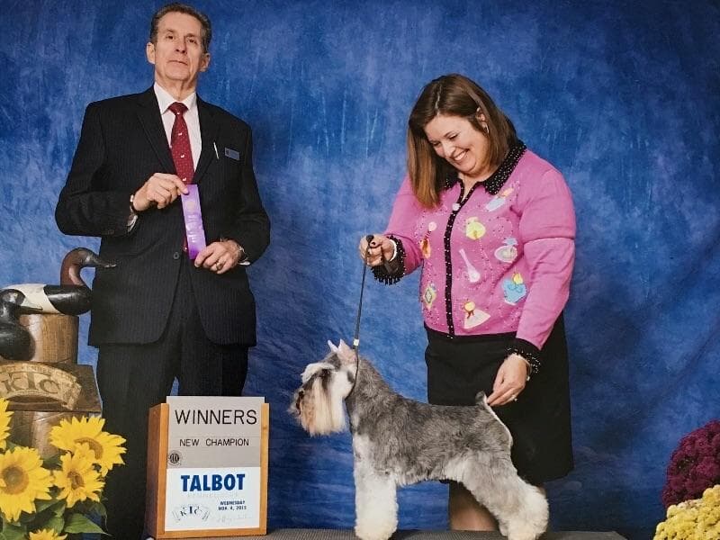 Miniature Schnauzer Puppies breeder image 14