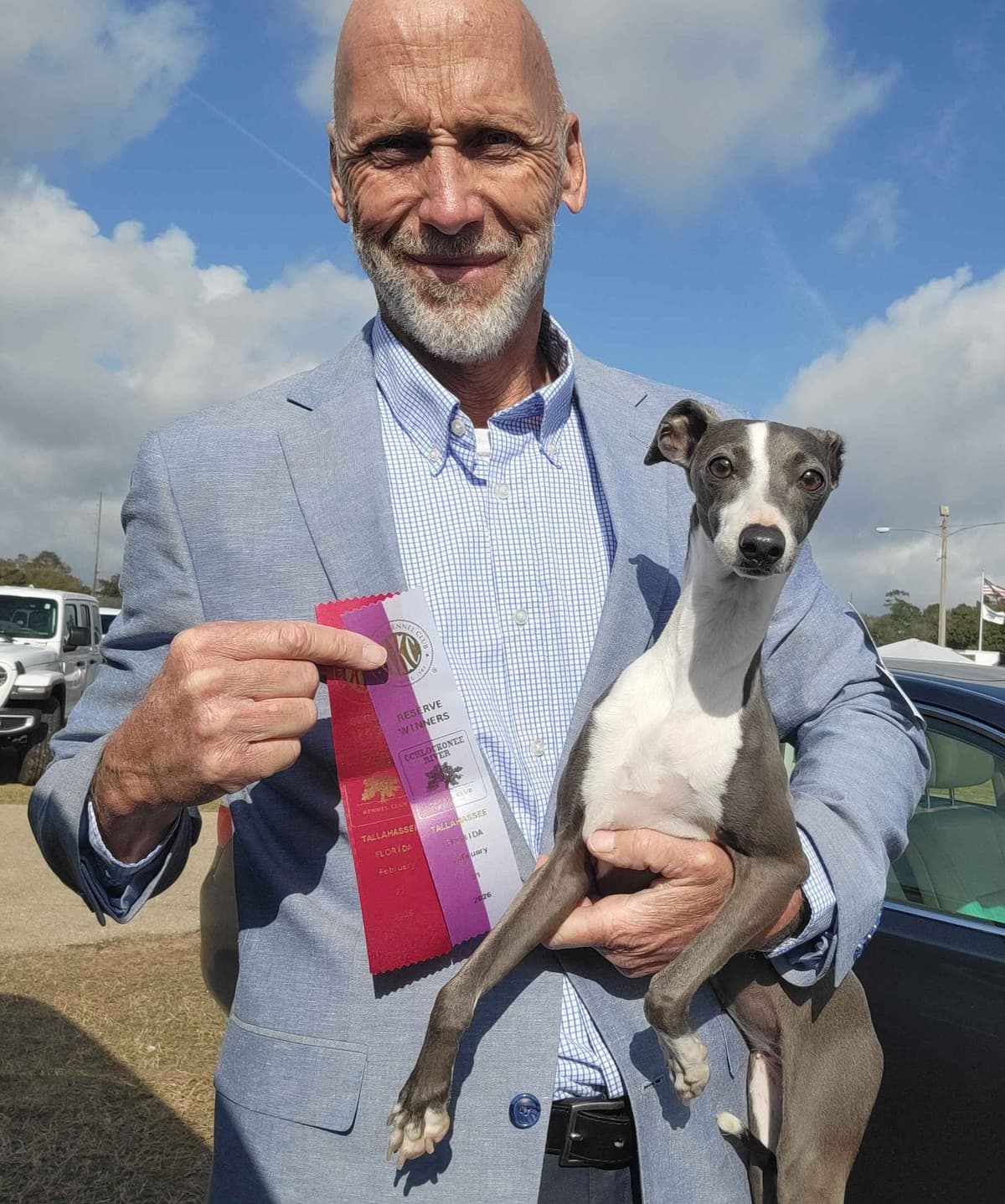 Italian Greyhound Puppies breeder image 15