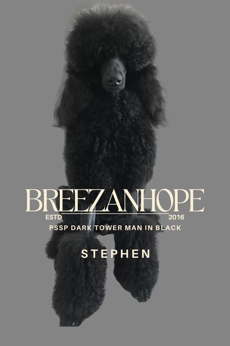 BREEZANHOPE ADULT POODLES breeder image 5