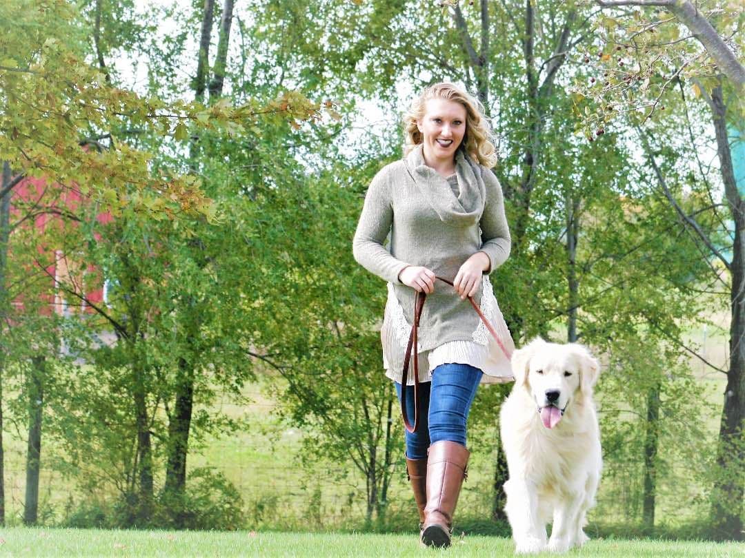 Golden Retriever Puppies breeder image 16