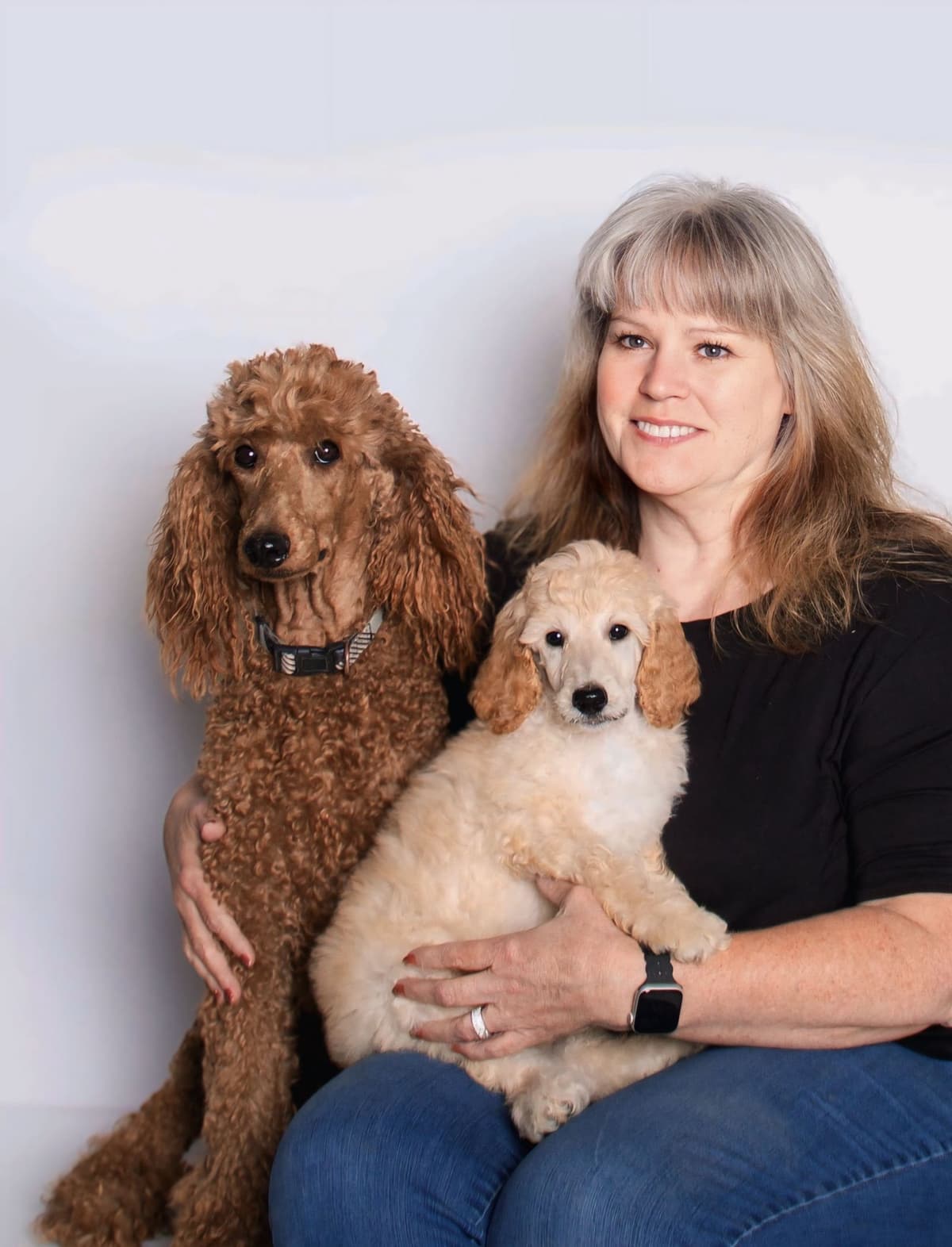 AKC Standard Poodle Solid & Parti Pups breeder image 7