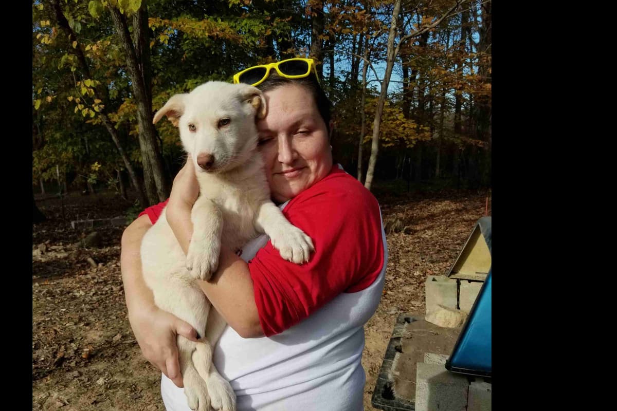 Great Pyrenees Puppies breeder image 6