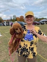 Poodle Puppies 253-249-1680 breeder image 6