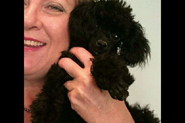 Toy Poodle female Pup 5 lbs when adult breeder image 42