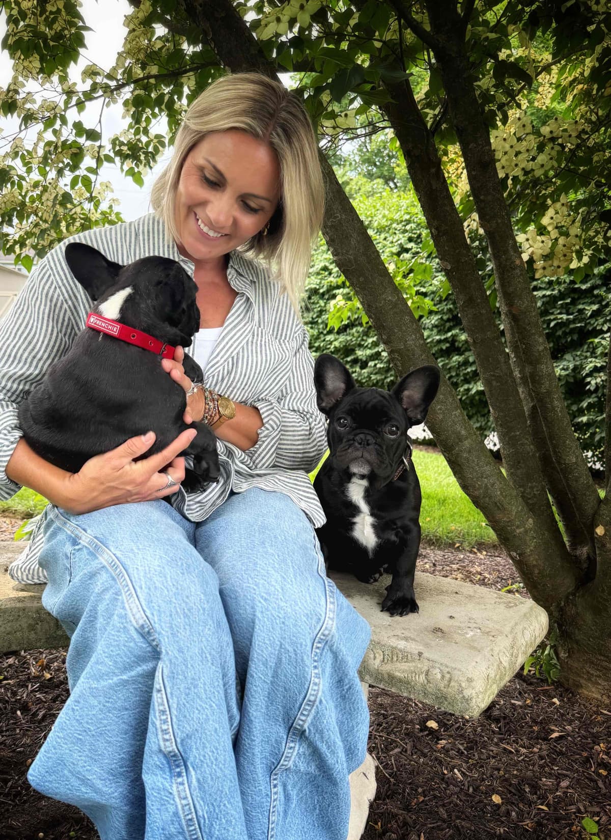 French Bulldog Puppies breeder image 20