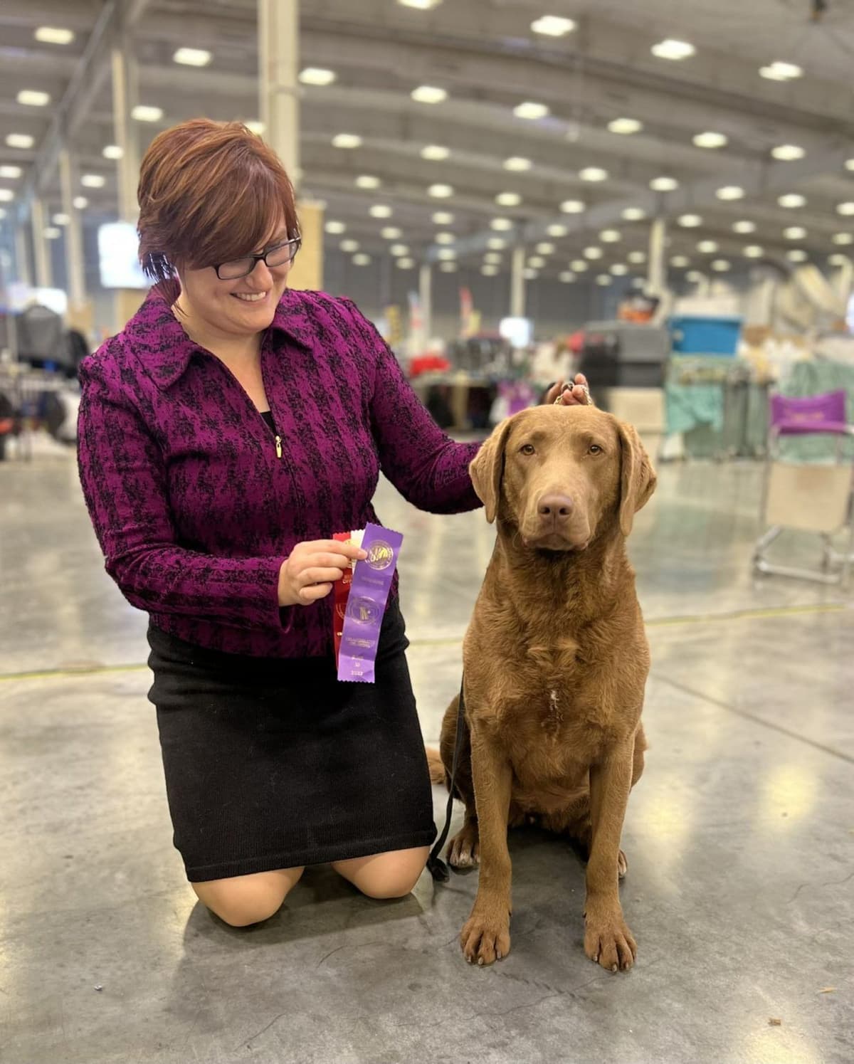 Chesapeake Bay Retriever Puppies breeder image 10