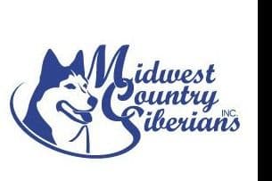 AKC Champion Bloodline Siberian Husky Puppies breeder image 1