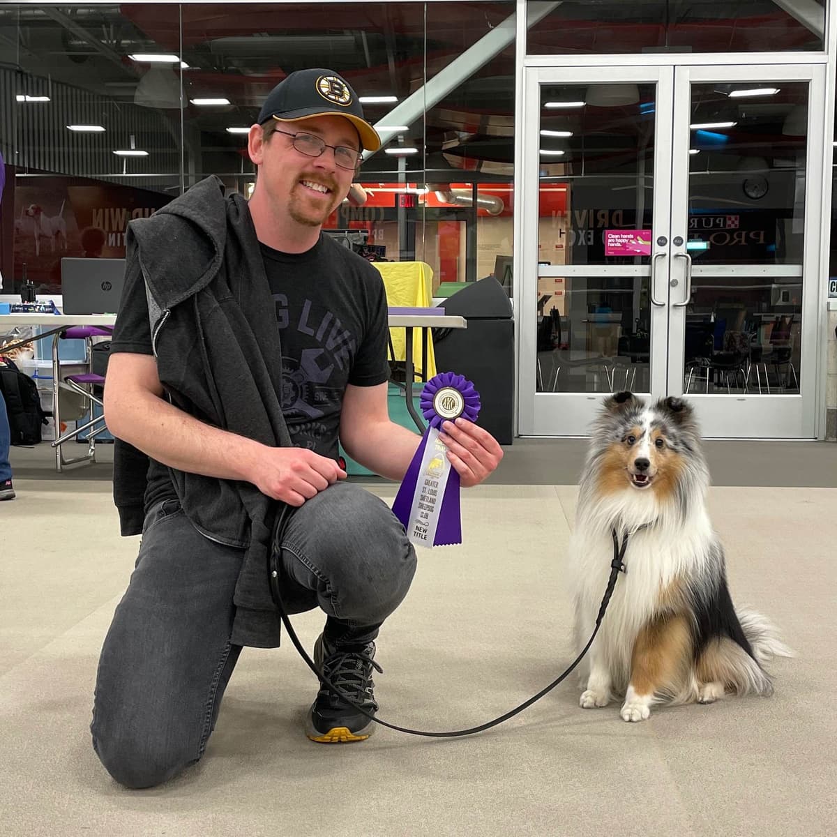 Sheltie Pups Raised by Pro Trainers! breeder image 9