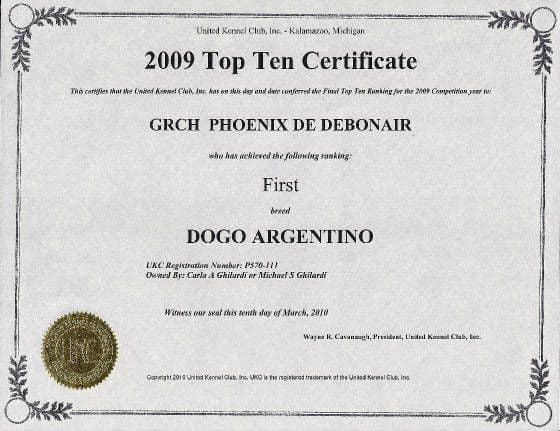 Dogo Argentino Puppies Champion Health Tested Parents. breeder image 39