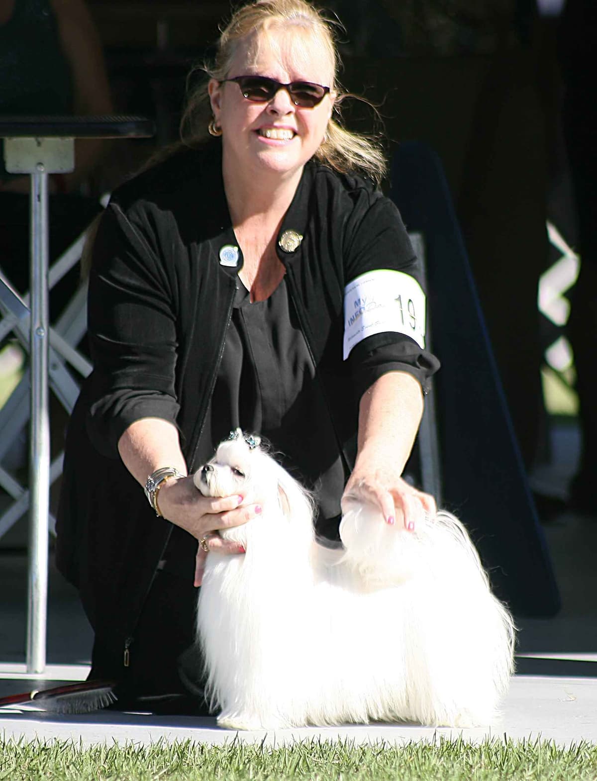 Maltese Puppies breeder image 10