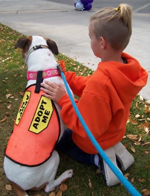 Chyna - very smart! breeder image 1