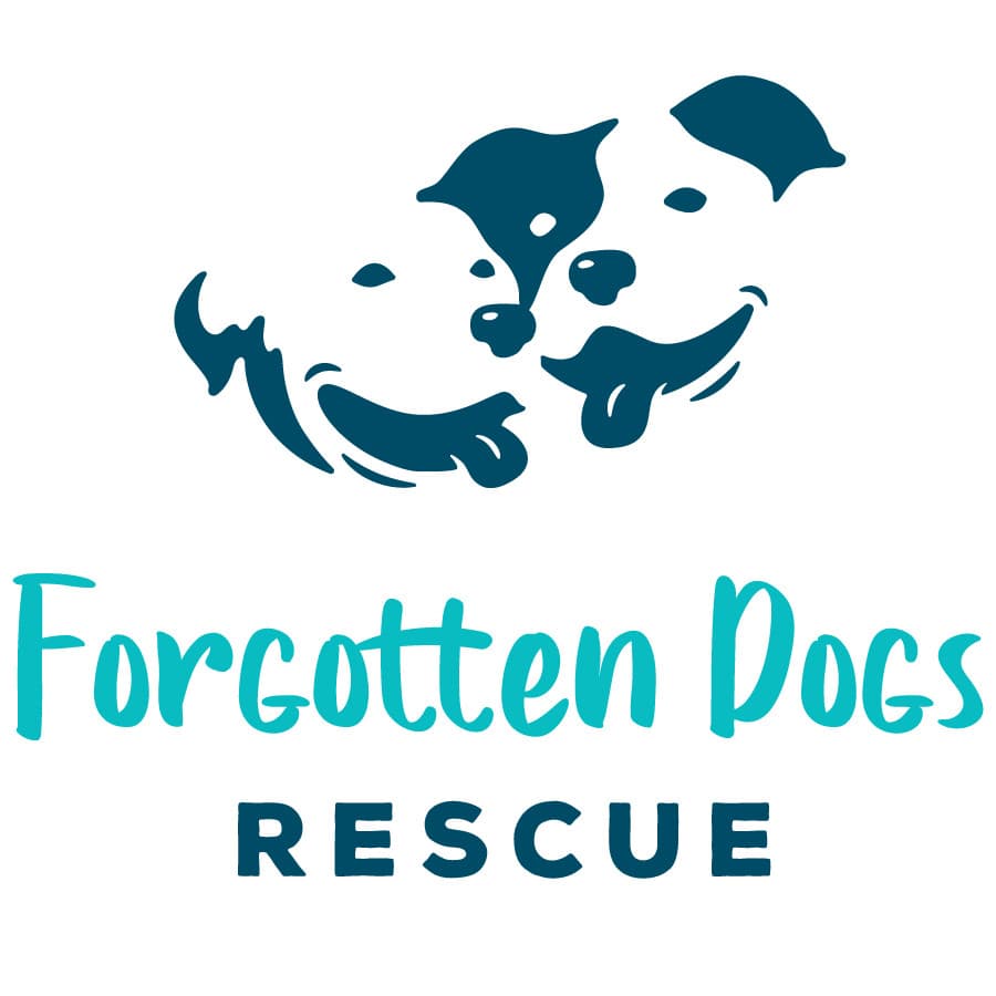 Rex - AVAILABLE / FOSTER NEEDED breeder image 1