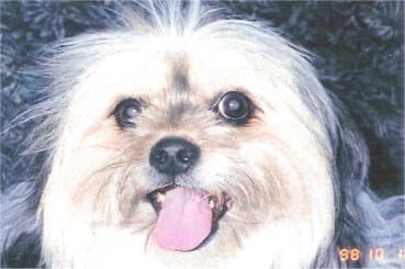 Emmy breeder image 5