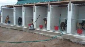 Arti breeder image 2