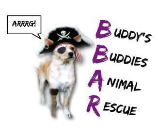 FOSTER HOMES NEEDED breeder image 1