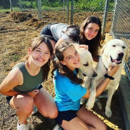 Izard County Animal Rescue Effort (ICARE)