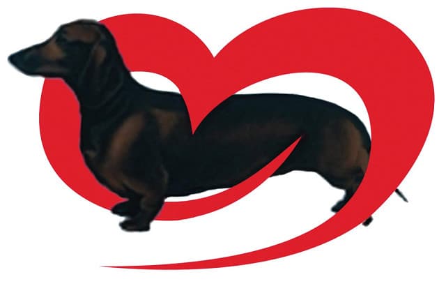 MYSTRO breeder image 5
