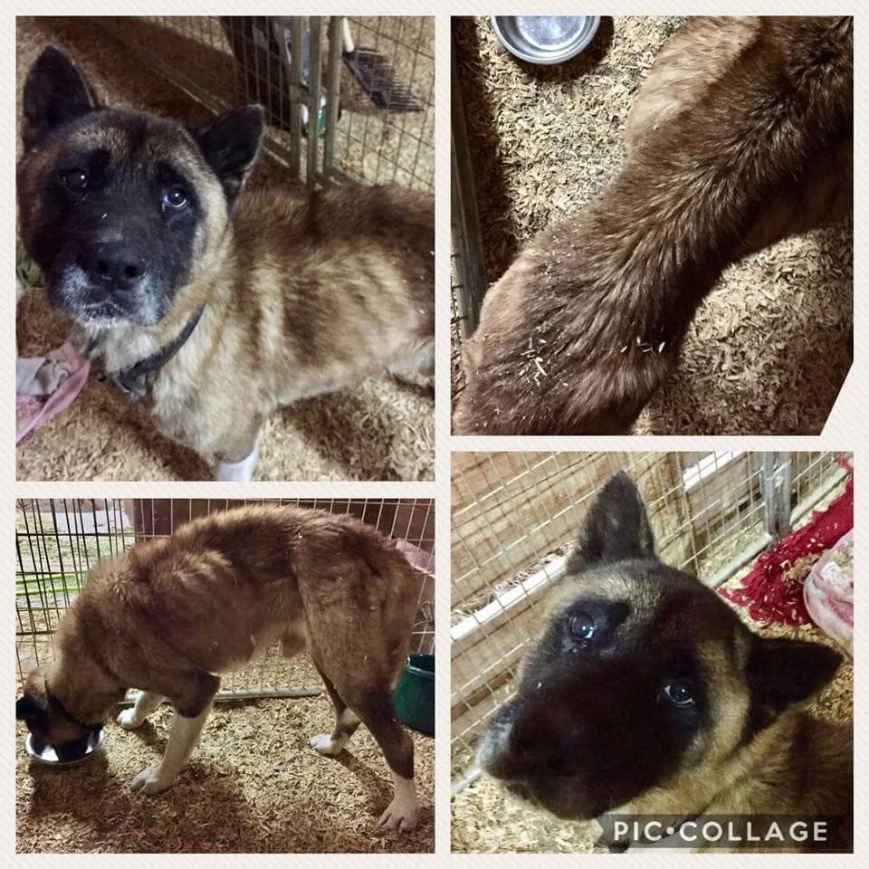 Bear breeder image 3