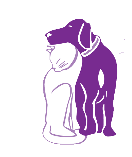 Benji breeder image 1