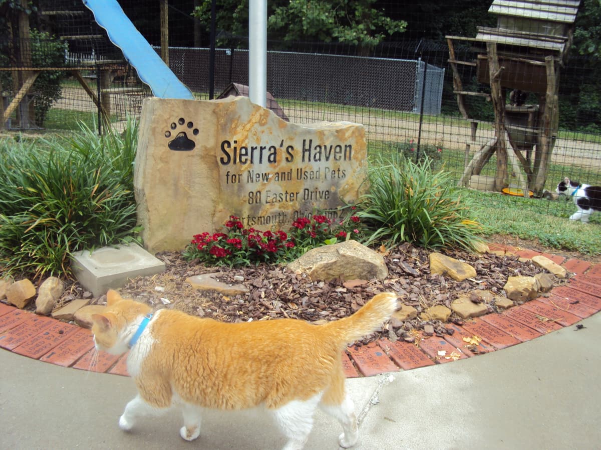 Alectrona breeder image 6