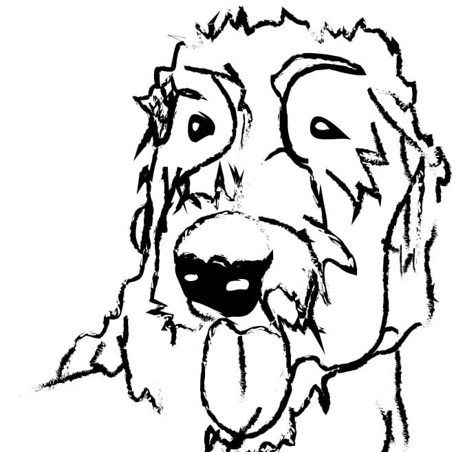 Stella breeder image 2
