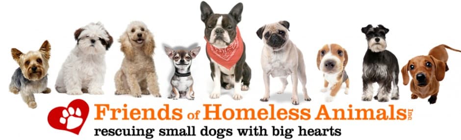 Boone Banner breeder image 2