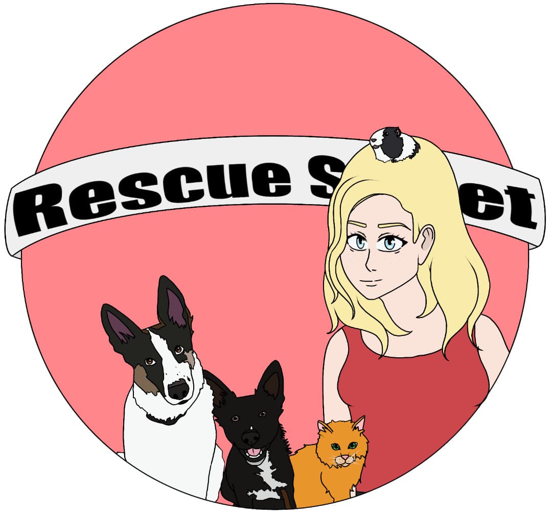 Eddie breeder image 1