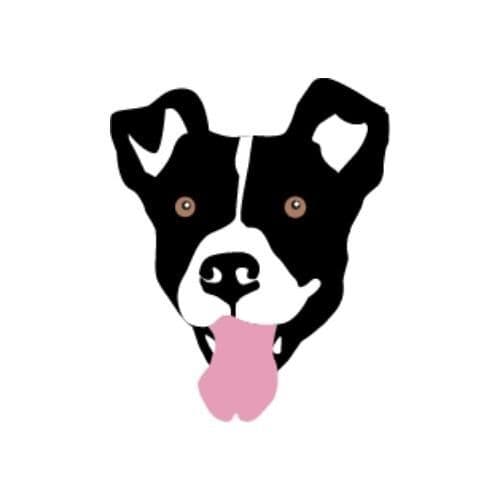 Suki breeder image 2