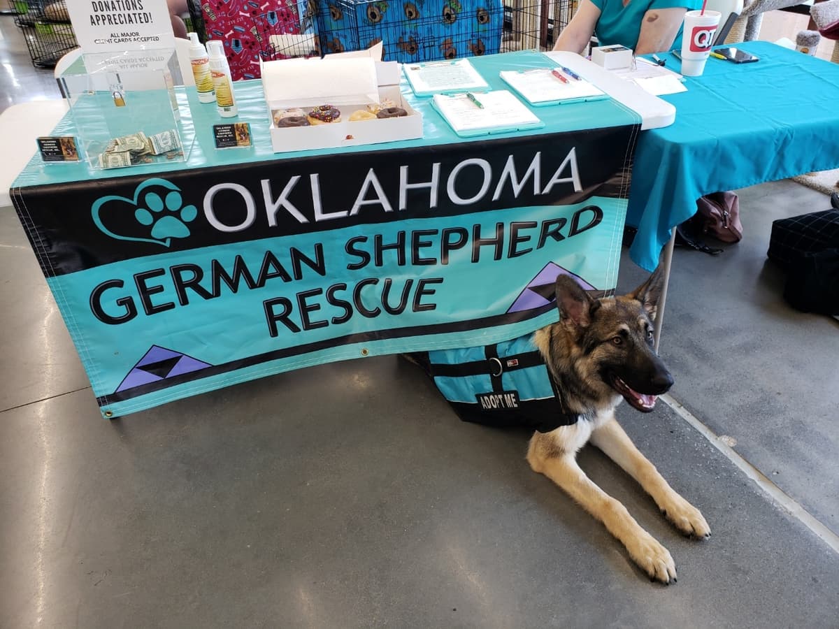 Arlo (PKA Clifford) breeder image 4