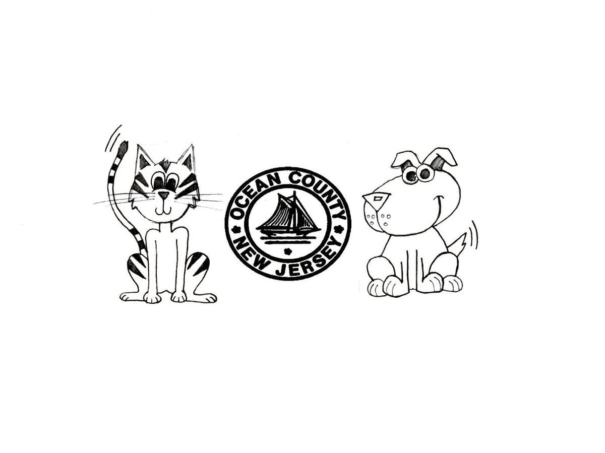 Gordo breeder image 4