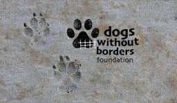 Dogs Without Borders Foundation