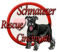 Jingles breeder image 6